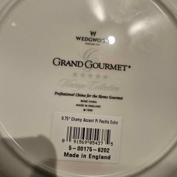 Wedgwood Grand Gourmet 'Pacific Echo' Salad/Champagne Plate 8 5/8" - Picture 4 of 4